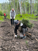 В преддверии празднования 80-летия Великой Победы 5 мая 2025 года в Солтонском районе совместно с Солтонским лесничеством прошла акция «Сад Памяти».